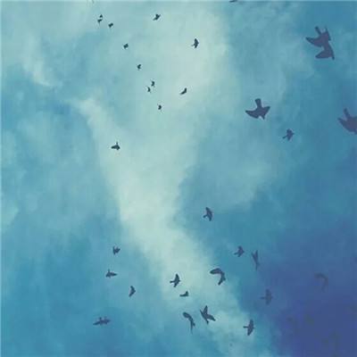 云开平台app最新版